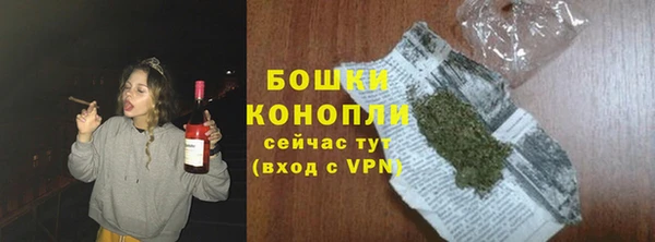 винт Лиски